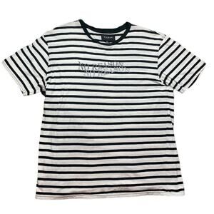 Pacsun No Reason Striped T Shirt